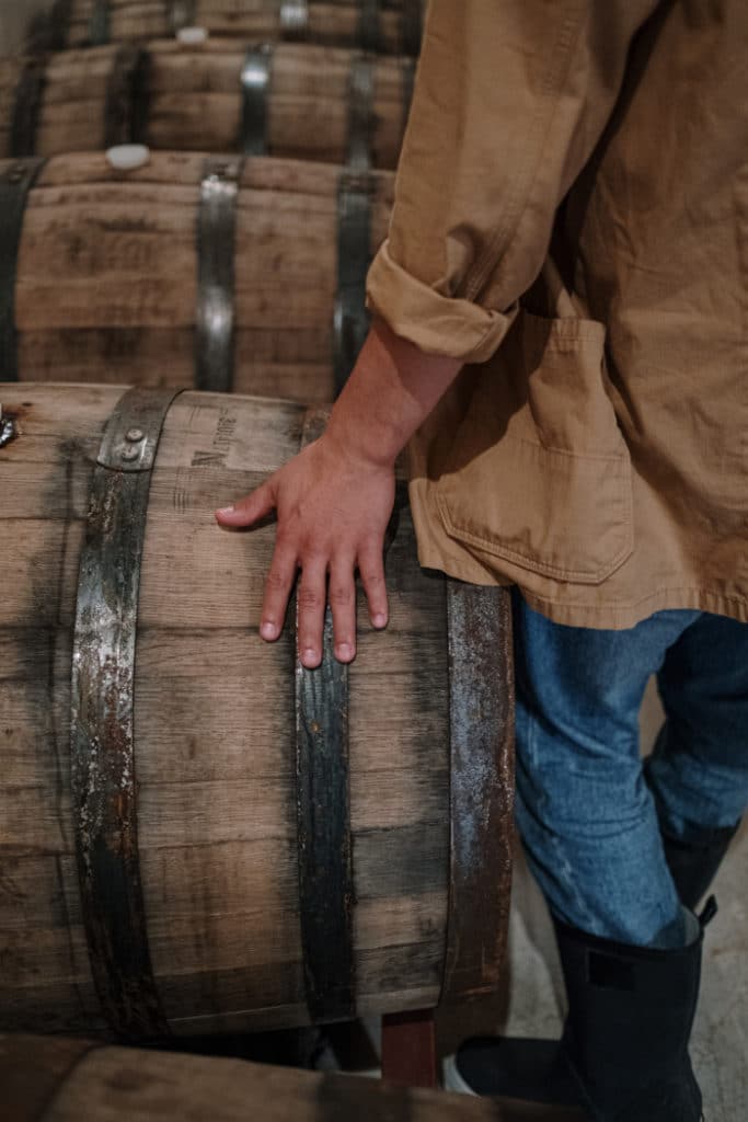 Vignoble de Nantes : Visite de cave labellisée Vignobles et Découvertes