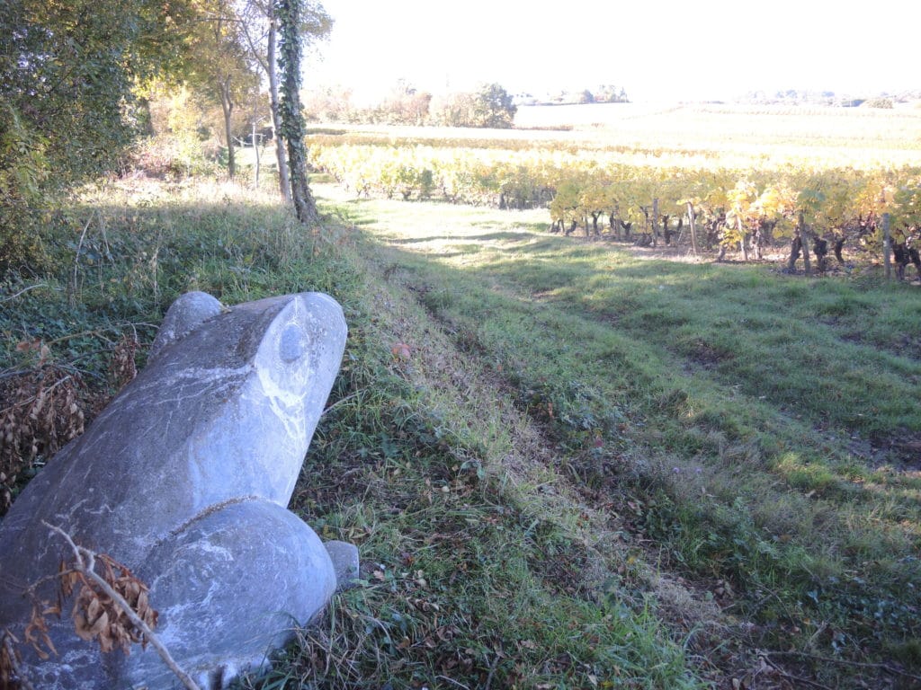 Vignoble de Nantes - lieux de prestations