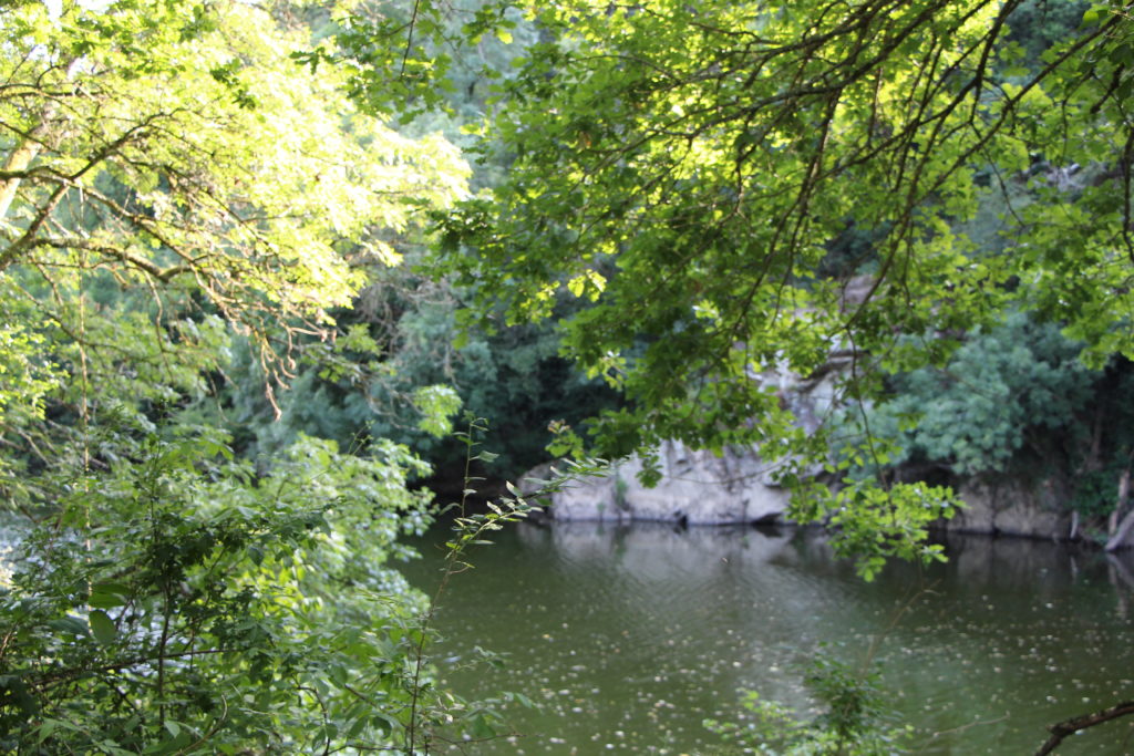 Sèvre Nantaise - lieux de prestations